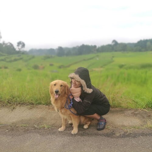 Morning walk with Melo ..
.
.
.
.
biasanya sopiah gak kuat kalo suruh jalan jauh nanjak turun nanjak turun 😂😂 tapi ... 8 hari terakhir memang amazing .. kuat kuat aja 😍 dinginnya minta ampun Batutumonga .. #batutumonga #banuasarira #torajautara #exploretorajautara #sofiadewitraveldiary #morningwalk #goodmorning #lifestyle #clozetteid