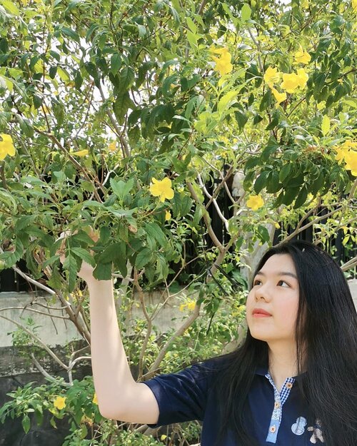 Udah saking lamanya ga foto #ootd di luar, akhirnya minta fotoin @alwinwh di komplek depan rumah. Sayangnya ini bukan ootd, soale lancai bgt makeup juga cuma lipstick doang 😂✨#clozetteid #flowers