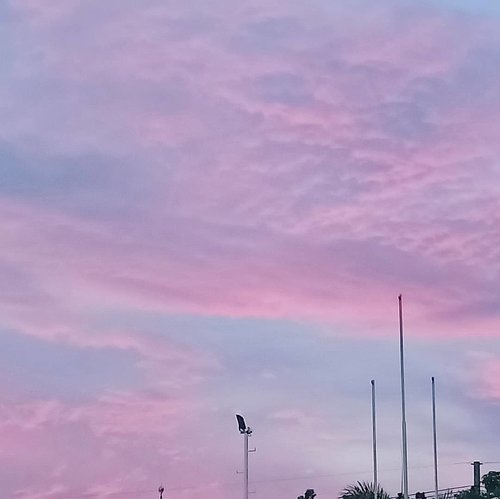 Cotton candy sky... #cottoncandysky #pastelcolored #nature #sky #cottoncandycolored #instaview
#clozetteid #sbybeautyblogger #beautynesiamember #bloggerceria #blogger #lifestyle #lifestyleblogger #influencer #influencersurabaya #influencerindonesia #beautybloggerid #lifestyleinfluencer #surabayablogger #SurabayaBeautyBlogger #pink #purple #violet #kawaii #kawaiilife #kawaiiaesthetic #pastelcolors #pastelcoloredsky #cottoncandyskies #bloggerperempuan