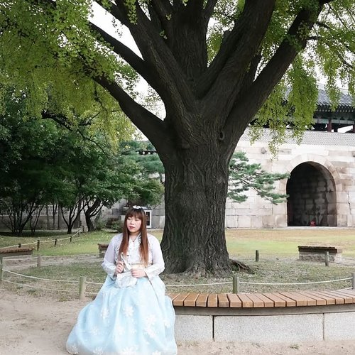 Roaming around in Gyeongbokgung Palace in pretty Hanbok is a pretty fun experience!

Check out more photos on my blog : http://bit.ly/hanbokinpalace

#hanbok #onedayhanbok #hanbokexperience
#pinkinkorea #pinkinsouthkorea  #seol #korea #southkorea #gyeongbokgung #clozetteid #sbybeautyblogger #beautynesiamember #bloggerceria #influencer #beautyinfluencer #jalanjalan #wanderlust #blogger #bbloggerid #beautyblogger #indonesianblogger #surabayablogger #travelblogger #koreantraditionaldress #girl #asian  #surabayabeautyblogger #travelblogger #girlygirl #pinkinseoul