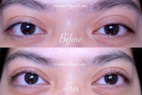 My first Keratin Lash Lift Experience at @briestudio is up on my blog✨ please kindly check out on chacans.blogspot.com or direct link on my bio💖 
Have a great day🌤
#ClozetteID #BrieStudioxClozetteIDReview #ClozetteIDReview #BrieStudio #SulamAlisJakarta #SulamAlisTangerang #SulamAlisCirebon #MUAJakarta #MUATangerang #MUACirebon #LashCurl #LashLift #LashExtension •
•
#beauty #beautyblogger #indobeautygram #indonesiabeautyblogger #bloggerindonesia #bloggerjakarta #bblog #BeautynesiaMember #BloggerPerempuan #CharisCeleb #ClozetteID #FDBeauty #IndonesiaFemaleBlogger #SociollaBloggerNetwork #chacaannisasdiary