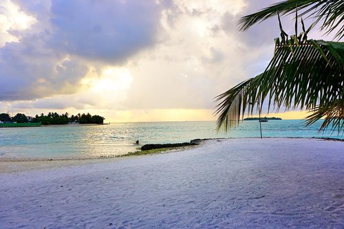 Every sunshine it’s a sign of a new beginning 💛💛. Morning Tuesday💋. Hello love @eka_vaganza ...#maldivians #travellingthroughtheworld #travelandleisure #travelandliving #sonyalphaid #wonderful_places #wonderful_location #beautifuldestinations #maldivesresorts @travellingthroughtheworld @travelandleisure #tlpicks @maldives_ig @natgeomv #clozetteid #tuesdayvibes