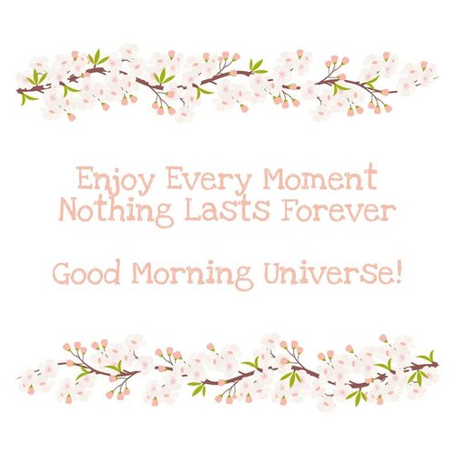 GOOD Morning Universe !.#THANKSGOD #1111 #positivevibes #motivational #motivationalquotes #universe.#alca_quote #clozetteID