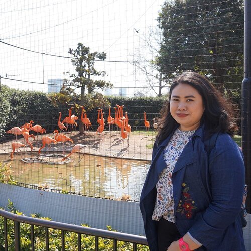 #throwbackthursday I smiled gracefully after seeing flamingos in real life, for the first time ever I guess. Ueno Zoo was one of the highlight from my visit to Tokyo early this year. If you wanna killing time, experience the oldest zoo in Japan, only cost you ¥600, you won’t regret it. Read more about Ueno Zoo in my blog, as usual link on bio 🐼🐧🐯🐵🦍🐘🦒
.
.
.
#wyntraveldiary #uenozoo #uenopark #wheninjapan #exploretokyo #travelgram #leisure #tokyo #clozetteid