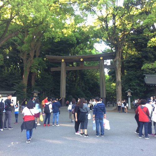 Afternoon stroll at Meiji Jingu ⛩
.
.
.
#leisure #travel #wyntraveldiary #wheninTokyo #clozetteID #meijishrine #shibuya #harajuku
