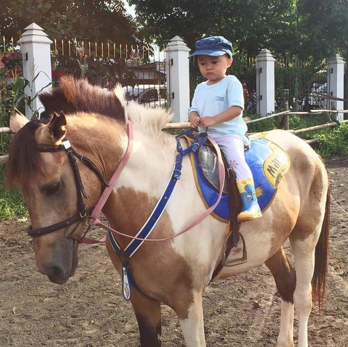 anak bayi beranian banget naik kuda sendirian 😂 •
#clozetteid #lifestyle #mommyslife