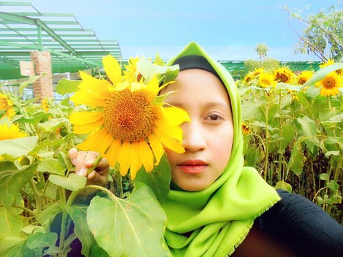Keep your face to the sunshine and you cannot see the shadow. It's what sunflowers do -Helen Keller🌻💞••••*No alis-alis club😂#RatnasasDiary #ClozetteID #Hijab #PhotoOfTheDay #Sunflower #Sun #Flowers #Bandung #ParisVanJava