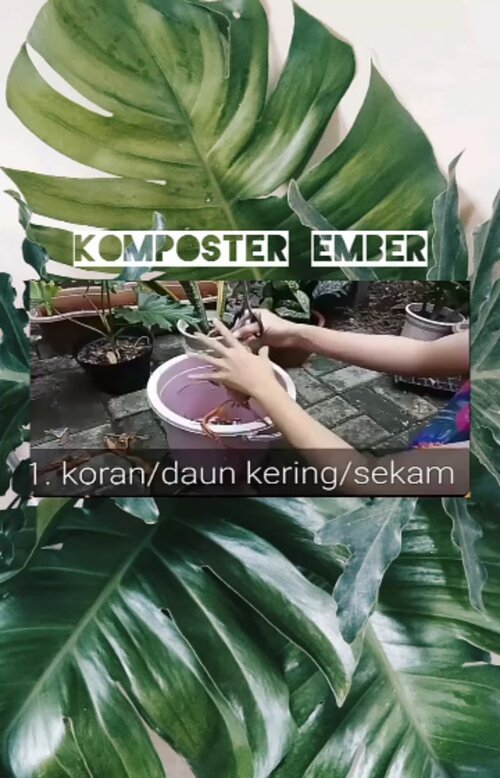 Yuk mulai olah sampah organik kita. Jangan dicampur dgn sampah plastik yak. Gampang kok buatnya ❤#zerowasteindonesia#sustaination#clozetteid