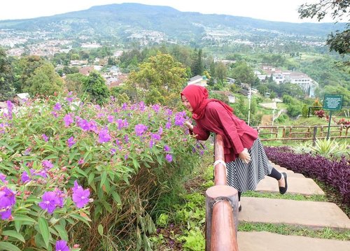 .
Good morning ☀️
.
there is always something to be grateful for 💕
like i can breathe a super fresh oxygen at @trizararesorts while enjoying a great view like this ⛰⛰🌸🌺
---
📸 by @nianastiti
#bloggerpower👊 #explorebandung #trizararesorts #trizararesort #trizararesortslembang #wisatabandung #clozetteid #freshair #flowerlovers
