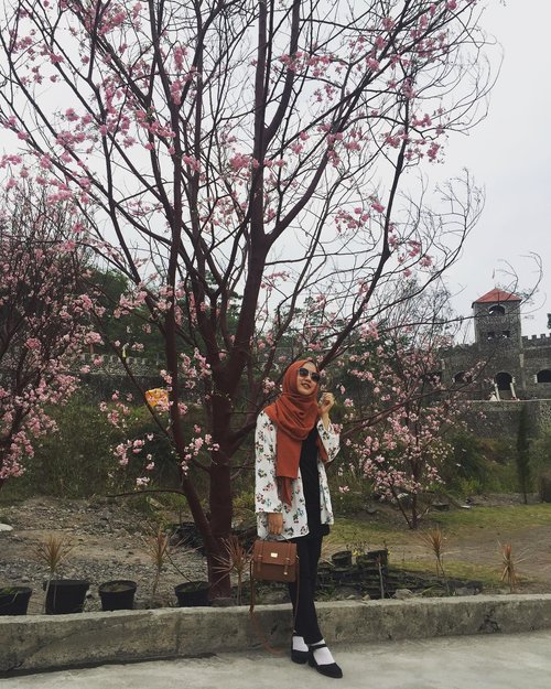 .Cherry Blossoms 🌸 #ceritanya..#cherryblossom #thelostworldcastle #explorejogja #eksplorjogja #wisatajogja #thelostworldjogja #sakura #castle #exploreindonesia #myhijup #hijabblogger #hijabtraveller #hijabersbandung #sunglasses #clozetteid #starclozetter