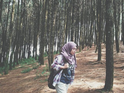 Ku lari ke hutan, kemudian minta difoto. - TerAADC 2017
.
.
.
.
.
.
.

#exploreindonesia #hijab #bandung #yolo #igers #nature #green #indonesia #likeforlike #like4like #adventure #outdoors #photooftheday #photography #picoftheday #vsco #vscocam #girl #explorebandung #forest #clozetteid #travel #blogger #jungle #trees #throwbackthursday #livefolk #throwback #tb #latepost