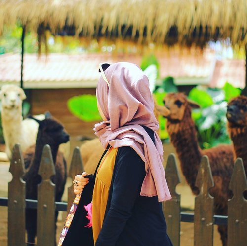 Nesa Fans Club 🐪 #Alpaca
.
.
.
.
.
.
.
.

#park #travelblogger #blogger #green #nature #malang #igers #bestoftheday #indonesia #likeforlike #like4like #hijab #outdoors #photooftheday #photography #picoftheday #vsco #vscocam #girl #tbt #zoo #throwbackthursday #animal #throwback #traveling #clozetteid #ootd