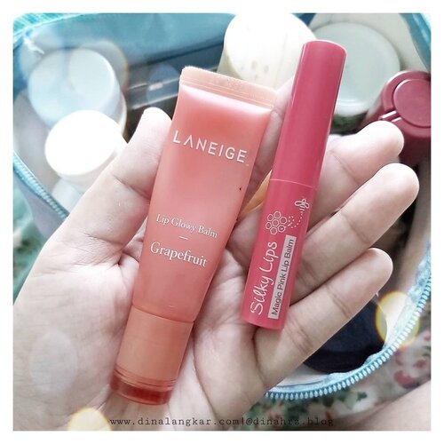 Nasib yaa warna bibir hitam 😑 mana kering banget, cara mengatasi nya ya dengan 2 peoduk ini yaitu lip blam. tapi @laneigeid ini khusus untuk melembabkan, keliatan nya biasa aja. tapi kalau gak pakai ini bibir jd kering banget. emang butuh banget sama ni produk. sedangkan satu nya melembabkan juga tapi ada warna nya dikit. cukup lah kalau lagi males lipstik'an tapi gak mau keliatan pucat..tinggal pakai lip blam @silkygirl_id ada sensasi dingin2 nya juga 😊.saran dong lib blam yang daya melembabkan nya bagus, tapi ada warna nya juga 😁.#clozette #clozetteid #lipcare #lipcareroutine #lipblam