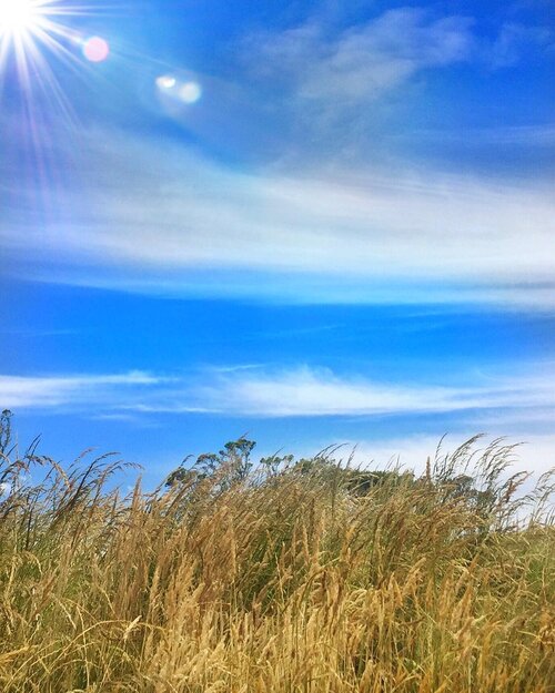 Hidup itu nggak selalu indah. Kalau yang indah itu biasanya gambar anak-anak yang selalu menggambar gunung 2 biji dengan jalanan membelah sawah ditengah-tengah 🗻🛣🏔. Macem mandatory lukisan saat kelas menggambar jaman sekolah dulu ya, kan? Yang inget pasti angkatan baheula 🙋🏽‍♀️🤦🏽‍♀️
Tapi bukan berarti hidup melulu nestapa. Karena gimana juga kita harus selalu berusaha, be grateful and happy. Always.
.
Follow your dreams. Figure out where you’d like to be, what you would like to be doing, and then figure out what you need to do to get there. We cannot change the direction of the wind, but we can adjust our sails to always reach to our destination. .
.
This photo was taken at Mt. Eden, Auckland. Such beautiful yet mesmerising view. When I stood on the top. I felt I’m so small. The world is wide, too wide and big. And suddenly last night my friend, a lecturer at AKL Uni, just texted me to say HI 👋🏻. He asked when I get back to AKL, again. I said, not sure. May be this is the time he visit me in Bali. And you know what he said?
👱🏻‍♂️ Well for you I travelled 50kms in a night. So now 50km is not enough, you want 5000miles away? But yes it is a good idea. .
👩🏽 Why not? .
👱🏻‍♂️Well I am asking you, you haven't been in touch recently.. maybe you have got a boyfriend, or maybe you will travel for work.. many reasons. Lets plan in October! Hopefully you won't get a boyfriend between now and October.
.
-to be continued- in October, may be? Let’s see! 😂🤞🏽
.
.
#Nona_HitamPahit #clozetteid #worldtravelbook #digitalnomad #tasteintravel#exploremore #travel #justgoshoot #vscocam#longdistance #mytinyatlas #abmlifeiscolorful#streetphotography #wanderfolk #traveldeeper#letsgosomewhere #thehappynow #southeastasia#yolo #vscogrid #hsdailyfeature#visualsoflife #exklusive_shot #candid #newzealand #livefolk#bestintravel #tlpicks #followme #mustdoNZ