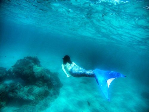 Keep Calm and be Mermaid 🐚🐚🐚 If you happen in Bali, being mermaid with @island.mermaids can give you great experience for sure ⚓️
.
.
.
#ladies_journal #mermaid #mermaidlife #underwater #dive #ocean #summer #sea #bali #bluelagoon #bali #indonesia #instamood #travel #vacation #holiday #swim #blue #clozette #clozetteid #mermaidfenny