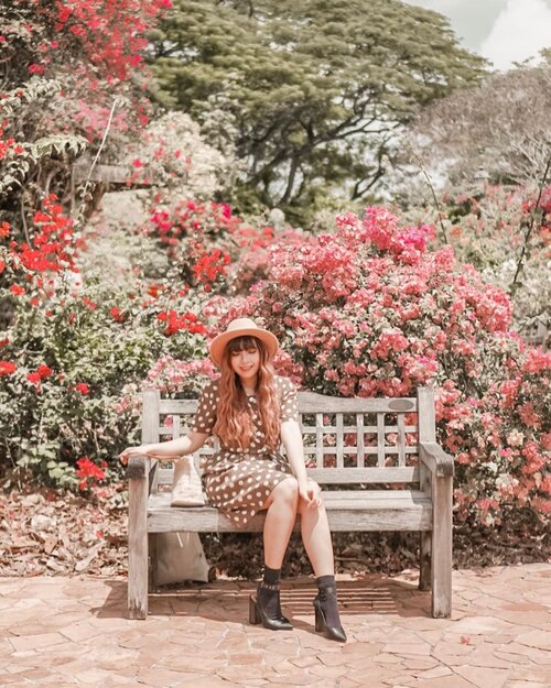 Strolling around a large garden in Singapore, Botanic Garden and found this super pretty spot 💖💖🌺🌺
.
.
📷 @williamiskandar .
.
.
.
.
#singapore #visitsingapore #botanicgarden #wheninsingapore #travel #clozette #clozetteid #passionmadepossible