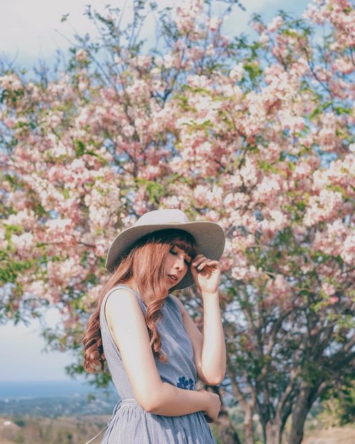 Sakura in Sumba 🌸🌸🌸..📷 @williamiskandar .....#sumba #eastnusatenggara #ntt #nusatenggaratimur #exploresumba #sumbatimur #sakura #clozette #clozetteid #portrait #wonderfulindonesia #travel