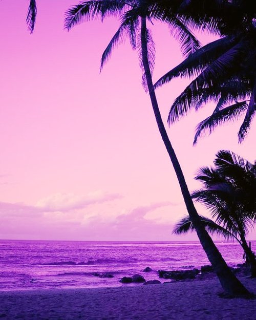 Take me back 💕💜💕✨...#pink #beach #pinkbeach #tropical #rock #quiet #peaceful #sand #nature #beautiful #beautifulnature #gratefulheart #grateful #thankful #clozette #clozetteid #traveller #idontplaniplay
