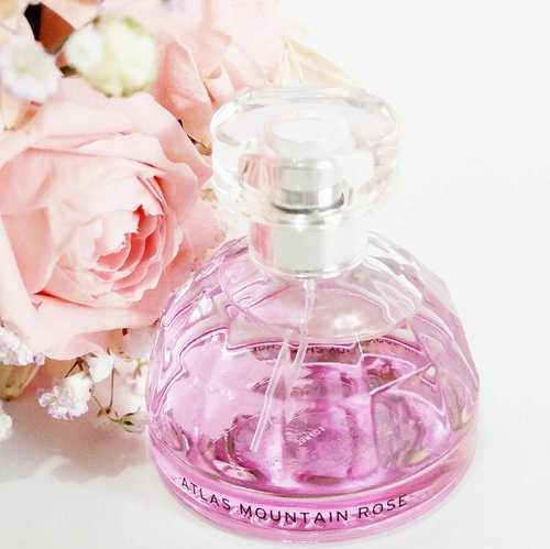 Jadi ceritanya ini door prize pas fimela bagi2 beauty products. Emang ya universe tau kalo aku pecinta pink, dapetnya ya yg botolnya pink. Suka! Aku cinta pink! 💖
#clozetteid #perfume