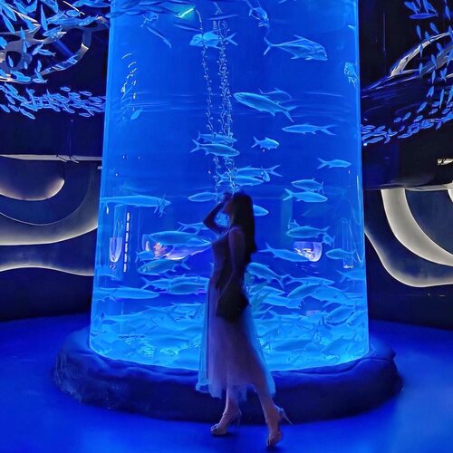 Throwback to the time when I feel like a #Mermaid 🧜🏻‍♀️ whilst in awe exploring @jakartaaquarium and listen to the iconic “Under The Sea” 🦀🐠🐙🐬🐡 Truly mesmerizing 🤍.....#underthesea #jakartaaquarium #placetogojkt #pearlofthesouthsea #explorejakarta #outfitoftheday #ootd #inspiration #womenfashion #fashionistas #elegant #instastyle #beautyenthusiast #photooftheday #beauty #makeup #fashiongram #beautyinfluencer #asianblogger #clozetteid #stylediaries #얼짱 #인스타패션 #패션스타그램 #오오티디