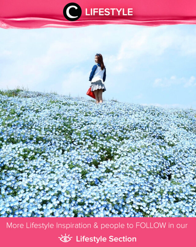 It's full of nemophilia flowers blossoming in #spring season. Simak Lifestyle Updates ala clozetters lainnya hari ini di Lifestyle Section. Image shared by Clozette Ambassador: @verenlee. Yuk, share momen favorit kamu bersama Clozette.